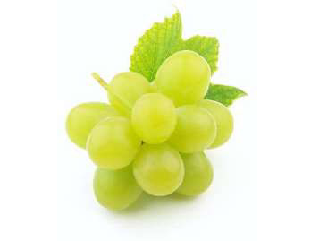 Uvas